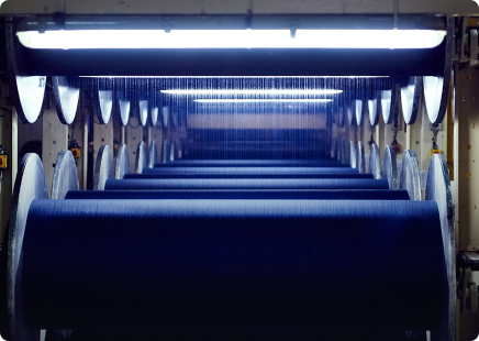 Jacquard Shedding